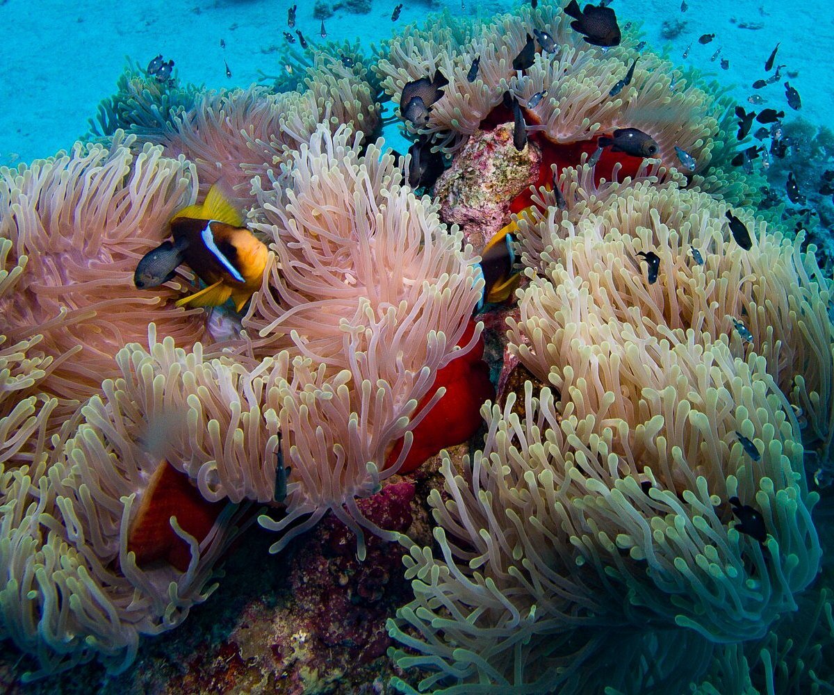 Marsa Alam